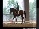 Day 1<br>
Mary Wanless<br>
Assisting<br>
Lisa Wagner<br>
Riding Jesse James<br>
Fresian/TB<br>
3 and a half yrs. old Intro<br>
Duration: 20 minutes