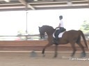 CDS Junior Young Rider Clinic<br>
Charlotte Bredah<br>
Assisting<br>
Arianna Barzman-Grennan<br>
Patriot B<br>
18 yrs old Gelding<br>
Royal Dutch Warmblood<br>
Training: PSG<br>
Duration: 21 minutes