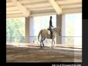 Day 3<br>
Mary Wanless<br>
Assisting<br>
Clara Croce<br>
Riding Mia<br>
Arabian/Hanoverian<br>
10 yrs. old Intro<br>
Duration: 28 minutes