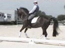 Jans Brons<br>
Riding & Lecturing<br>
Jordan<br>
KWPN<br>
17 yrs. old Gelding<br>
Out of Elmshora<br>
by: Joost<br>
Training: GP<br>
Duration: 23 minutes