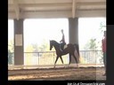 Day 3<br>
Mary Wanless<br>
Assisting<br>
Cheryl Joyner<br>
Riding Xan<br>
Arabian<br>
10 yrs. old Intro<br>
Duration: 23 minutes