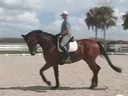 Available on DVD No.30<br>Volker Brommann<br>Riding & Lecturing<br>Farino<br>Owner: Charmayne O'Harrah<br>Westfalen Gelding<br>8 yrs. old<br>Training: 4th Level<br>Duration: 39 minutes