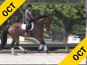 Kathy Connelly<br>
Assisting<br>
Jami Kment<br>
Zonia<br>
KWPN<br>
by: Sir Sinclair<br>
9 yrs. Old Mare<br>
Training: PSG<br>
Owner: Jami Kment
Duration: 35 minutes
