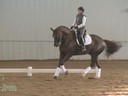 IDCTA The Illinois Dressage & Combined Training Association Presents<br>
Jan Brink<br>
Assisting<br>
Joan Pecora<br>
Talent<br>
12 yrs. old KWPN Gelding<br>
Training: GP<br>
Duration:48 minutes