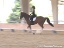 CDS Junior Young Rider Clinic<br>
Charlotte Bredahl<br>
Assisting<br>
Lily Bennett<br>
Tucker<br>
16 yrs. Old Gelding<br>
KWPN<br>
Training: 3rd Level/PSG<br>
Duration: 22 minutes