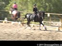 U.S. Trainers & Judges Young Horse Forum<br>Day 1<br>
Dr. Dieter Schule<br>
Developing Horse<br>
Assisting<br>
Barbi Breen<br>
Vindicator<br>
9 yrs. old &<br>
Jo Moran<br>
Walking on Sunshine<br>
8 yrs. old Mare<br>
Hanoverian<br>
Durat