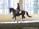 GDCTA Annual Symposium with<br>
Scott Hassler<br>
Assisting<br>
Laura Wharton-Mero<br>
Fiddle Dee Dee<br>
5 yrs. Old Mare<br>
Owner: Patricia Borders<br>
Training: FEI 5 yr. olds<br>
Duration: 21 minutes