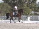 Conrad Schumacher<br>
Assisting<br>
Courtney Fanara<br>
Brighella<br>
Hanoverian<br>
15 yrs. Old Gelding<br>
Training: PSG/I1<br>
Owner: Courtney Fanara<br>
Duration:46 minutes