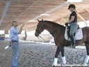 Christoph Hess<br>NEDA Spring Symposium<br>Ass. Colleen O'Connor<br>VDL Navarone<br>by Jus de Pomme<br>KWPN Stallion 12 yrs. old<br>Owner Kathy Hickerson Majestic Gaits<br>Training: Intermediare II
<br>Duration: 57 minutes