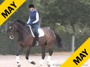 Charlotte Bredahl<br>
Riding & Lecturing<br>
Westpoint<br>
Rheinlander<br>
by: Windfall<br>
4 yrs. Old Gelding<br> 
Training: Training level<br>
Owner: Charlotte Bredahl<br>
Duration: 29 minutes