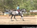 U.S. Trainers & Judges Young Horse Forum<br>Day 2<br>
Dr. Dieter Schule<br>
Demonstrating the Expectations<br>
of the 4 yrs, old<br>
Assisting<br>
Tamara Smith<br>
Fleeceworks Cinco<br>
Holsteiner<br>
by: Cascani(Casini I)<br>
4 yrs. old<br>