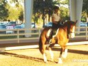 GDFNA Global Dressage Forum North America<br>
Stephen Clarke<br>
Assisting<br>
Louisa Eadie<br>
Baltazar<br>
11 yrs. old Gelding<br>
Duration: 43 minutes