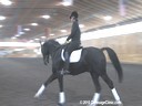 Day 3<br>
Heike Kemmer<br>
Assisting<br>
Rita Brown<br>
Rochefort<br>
Hanoverian<br>
7 yrs. old Gelding<br>
Training: PSG Level<br>
Duration: 33 minutes