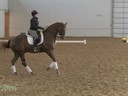 IDCTA Illinois Dressage & Combined Training Association
Presents<br>
Jan Brink<br>
Assisting<br>
Ashley Jacobsen<br>
Three Times<br>
12 yrs. old Gelding<br>
Training: GP<br>
Duration: 38 minutes