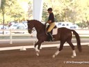 GDFNA Global Dressage Forum North America<br>
Udo Lange<br>
Riding<br>
11 yrs. old Hanoverian<br>
by: De Niro<br>
Duration: 29 minutes