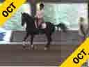 Day 1<br>
Arthur Kottas<br>
Assisting<br>
Gigi Nutter<br>
Vincere<br>
KWPN<br>
11 yrs. old Gelding<br> 
by: Ferro<br>
Duration: 36 minutes