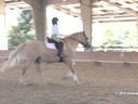 CDS Junior Young Rider Clinic<br>
Charlotte Bredahl<br>
Assisting<br>
Allysa Buenting<br>
Bold Adventure<br>
15 yrs old<br>
American Bashkir Curly<br>
Training; 1st level<br>
Duration  33 minutes