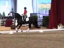 GDFNA Global Dressage Forum North America<br>
Ingrid Klimke<br>
Riding & Lecturing<br>
Dr. Wendell<br>
Hanoverian<br>
5 yrs. Old Stallion<br>
Duration: 39 minutes