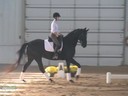 IDCTA The Illinois Dressage & Combined Training Association Presents<br>
Jan Brink<br>
Assisting<br>
Jennifer Salinger<br>
Leopold<br>
9 yrs. old Hanoverian Gelding<br>
Training: 1st Level <br>
Duration: 54 minutes