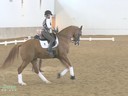 IDCTA Illinois Dressage & Combined Training Association
Presents<br>
Jan Brink<br>
Assisting<br>
Amy Walker–Basak<br>
Wagner<br>
8 yrs. old Gelding<br>
Training: PSG<br>
Duration: 47 minutes