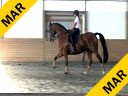 Day 3<br>
Markus Gribbe<br>
Assisting<br>
Esmee Ingham<br>
Norseman<br>
Swedish Warmblood<br>
14 yrs. old Gelding<br>
Training: 1-1- Level<br>
Owner: Esmee Ingham<br>
Duration: 46 minutes