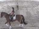 USDF West Coast Trainers Conference<br>
Day 1 <br>
Stephen Clarke<br>
Assisting<br>
Noel Williams<br>
Sir Velo<br>
Westfalen<br>
8 yrs. Old Gelding<br>
by: Sandro Bedo<br>
Owner: Melissa Mulchahey<br>
Duration: 27 minutes