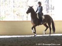 GDCTA Annual Symposium with<br>
Scott Hassler<br>
Assisting<br>
Jessica Barnes<br>
Ezabella HF<br>
by:  Rousseau<br>
Dutch Warmblood Mare<br>
Owner: Julie Ballard Haralson<br>
Duration: 29 minutes