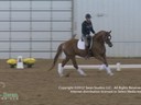 IDCTA The Illinois Dressage & Combined Training Assosiation Presents<br>
Jan Brink<br>
Assisting<br>
Darcy Drije<br>
Amor<br>
7 yrs. Old Gelding<br>
Training: 2nd/3rd Level<br>
Duration:47 minutes