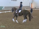 IDCTA The Illinois Dressage & Combined Training Association Presents<br>
Jan Brink<br>
Assisting<br>
Agata Reckucka<br>
High Five<br>
9 yrs. old Trakehner Gelding<br>
Training: 4th Level<br>
Duration:53 minutes