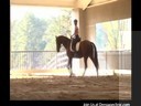 Day 2<br>
Mary Wanless<br>
Assisting<br>
Stephanie Mosely<br>
Riding Bashert<br>
Dutch Warmblood<br>
20 yrs. old training: GP
Duration: 25 minutes