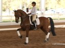 GDFNA Global Dressage Forum North America<br>
Tinne Vilhelmsson<br>
Riding & Lecturing<br>
Divertimento<br>
12 yrs. old<br>
Training: GP<br>
Duration:15 minutes