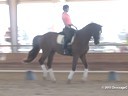 CDS Junior Young Rider Clinic<br>
Charlotte Bredahl<br>
Assisting<br>
Sarah Pozini<br>
Baumans Deischgras<br>
20 yrs. Old Gelding<br>
Westphalian<br>
Training: 4th Level<br>
Duration: 25 minutes