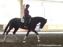 GDCTA Annual Symposium with<br>
Scott Hassler<br>
Assisting<br>
Anneliese Vogt-Harber<br>
Hot Black Chocolate<br>
Oldenburg<br>
17 yrs. Old Mare<br> 
by: Hotline<br>
Duration: 28 minutes