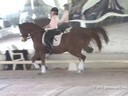 USDF West Coast Trainers Conference<br>
Day 1<br>
Stephen Clarke<br>
Assisting<br>
Claire McNulty<br>
Reel Adventure<br>
14 yrs. Old Gelding<br>
Hanoverian<br>
by:  Rotspon<br>
Owner:  Dr. Kristy Lund<br>
Duration: 30 minutes