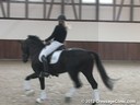 Anja Plonzke<br>
Riding & Lecturing<br>
Rousseau Noir<br>
Hanoverian<br>
5 yrs. old Stallion<br>
Training: 1st/2nd Level<br>
Owner: Anja Plonzke<br>
Duration: 28 minutes