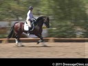 U.S. Trainers & Judges Young Horse Forum<br>Day 1<br>
Dr. Dieter Schule<br>
Assisting<br>
Sabine Schut-Kery<br>
Rohan<br>
Westfalen<br>
By: Rock Forever<br>
3 yrs. old Stallion<br>
Owner: Dr. Mike Heitmann<br>
Duration: 21 minutes