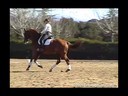 Charlotte Bredahl<br>
Riding & Lecturing<br>
Komo<br>
13 yrs. Old<br>
Dutch Warmblood<br>
Training: GP<br>
Owner: Kathy &Tom Pavlich<br>
Duration: 30 minutes
