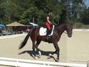 Gary Rockwell<br>
Assisting<br>
Monika Dujardin<br>
El Paso<br>
6  yrs. Old Gelding<br>
Training:  Training  Level<br>
Owner:  Yvonne Emerson<br>
Duration: 52 minutes