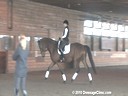 Jane Hannigan
Understanding Balance
Assisting
Tracie Richardson
Armani
by: Russeau
KWPN
Owner: Tracie Richardson
4 yrs. old Gelding
Training: Training Level
Duration: 32 minutes