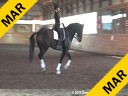 Day 3<br>
Markus Gribbe<br>
Assisting<br>
Lauren Wright<br>
Wie Mien Freund<br>
Hanoverian<br>
by: Weltmeyer<br>
11 yrs. old Gelding<br>
Training: PSG Level<br>
Owner: Lauren Wright<br>
Duration: 40 minutes