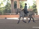 CDS Junior Young Rider Clinic<br>
Charlotte Bredahl<br>
Assisting<br>
Alexandra Dayka<br>
Anton<br>
12 yrs. Old Gelding<br>
KWPN<br>
Training: 3rd Level<br>
Duration: 30 minutes