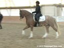 WDCTA Wisconsin Dressage & Combined Training Association<br>Day 2<br>
Second Level<br>
Steffen Peters<br>
& Janet Foy<br>
Assisting<br>
8 yrs. old Hanoverian Mare<br>
5 yrs. old Hanoverian Gelding<br>
5 yrs. old Welsh Cob Gelding<br>
Durat