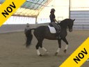 IDCTA Illinios Dressage & Combined Training Association<br>
Lilo Fore<br>
Assisting<br>
Heather McCarthy<br>
Saphira<br>
Training: I1-I2<br>
Duration: 41 minutes