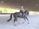 David Marcus<br>
Riding & Lecturing<br>
Edy Rava<br>
7 yrs. Old Mare<br>
KWPN<br>
Training: Schooling 4th Level<br>
Owner: Tuny Page<br>
Duration: 41 minutes