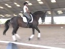 CDS Junior Young Rider Clinic<br>
Charlotte Bredahl<br>
Assisting<br>
Miriah  Mather<br>
Nimbus do Mirante<br>
20 yrs old Stallion<br>
Lusitano<br>
Training: Intermediare1<br>
Duration: 27 minutes