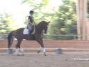 CDS Junior Young Rider Clinic<br>
Charlotte Bredahl<br>
Assisting<br>
Gabby Glumac<br>
Zodessa<br>
11 yrs. Old Mare<br>
KWPN<br>
Training: GP<br>
Duration: 27 minutes