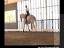 Day 3<br>
Mary Wanless<br>
Assisting<br>
Stephanie Mosely<br>
Riding Rodin<br>
Dutch Warmblood<br>
14 yrs. old<br>
Training: 2nd Level<br>
Duration: 28 minutes