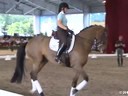 GDFNA Global Dressage Forum North America<br>
Steffen Peters<br>
Riding & Lecturing<br>
& Assisting<br>
Jamie Kment<br>
Zania<br>
9 yrs. Old Mare<br>
Duration: 40 minutes