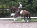 Rien van der Schaft<br>
Riding & Lecturing<br>
Zoe<br>
9 yrs. Old Gelding<br>
Training: PSG<br>
Duration: 47 minutes
