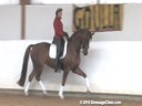 Ulla Salzgeber<br>
Riding & Lecturing<br>
Wakana<br>
Thuringen<br>
by:Wolkentanz<br>
Owner: Ulla Salzgeber<br>
10 yrs. old Mare<br>
Tarining: GP Level<br>
Duration: 32 minutes